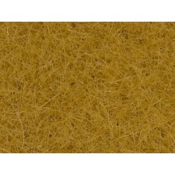 NOC07096