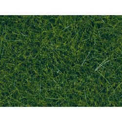 NOC07099