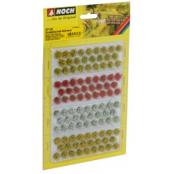 NOC07135