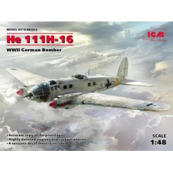 ICM48263
