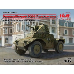 ICM35377